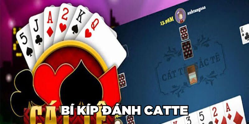 Bí kíp đánh Catte