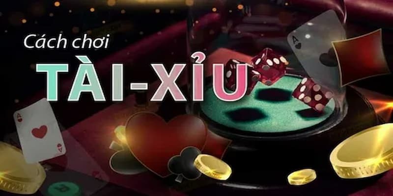 Hướng dẫn tổng quan về cách chơi tài xỉu